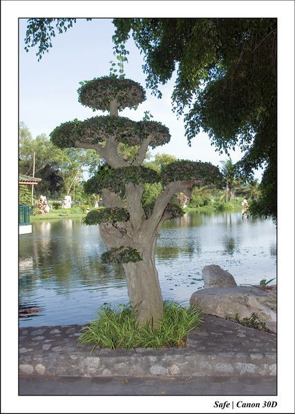2006 - 08 - Pattaya - Crocodile farm parc 07